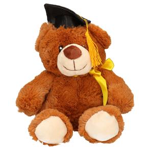 Merkloos Geslaagd thema cadeau pluche knuffel beer bruin 20 cm -