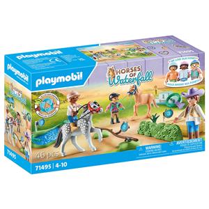 PLAYMOBIL 71496 Ponykutsche