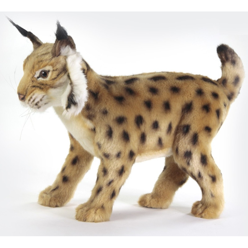 pluche knuffel lynx bruin 35 cm -