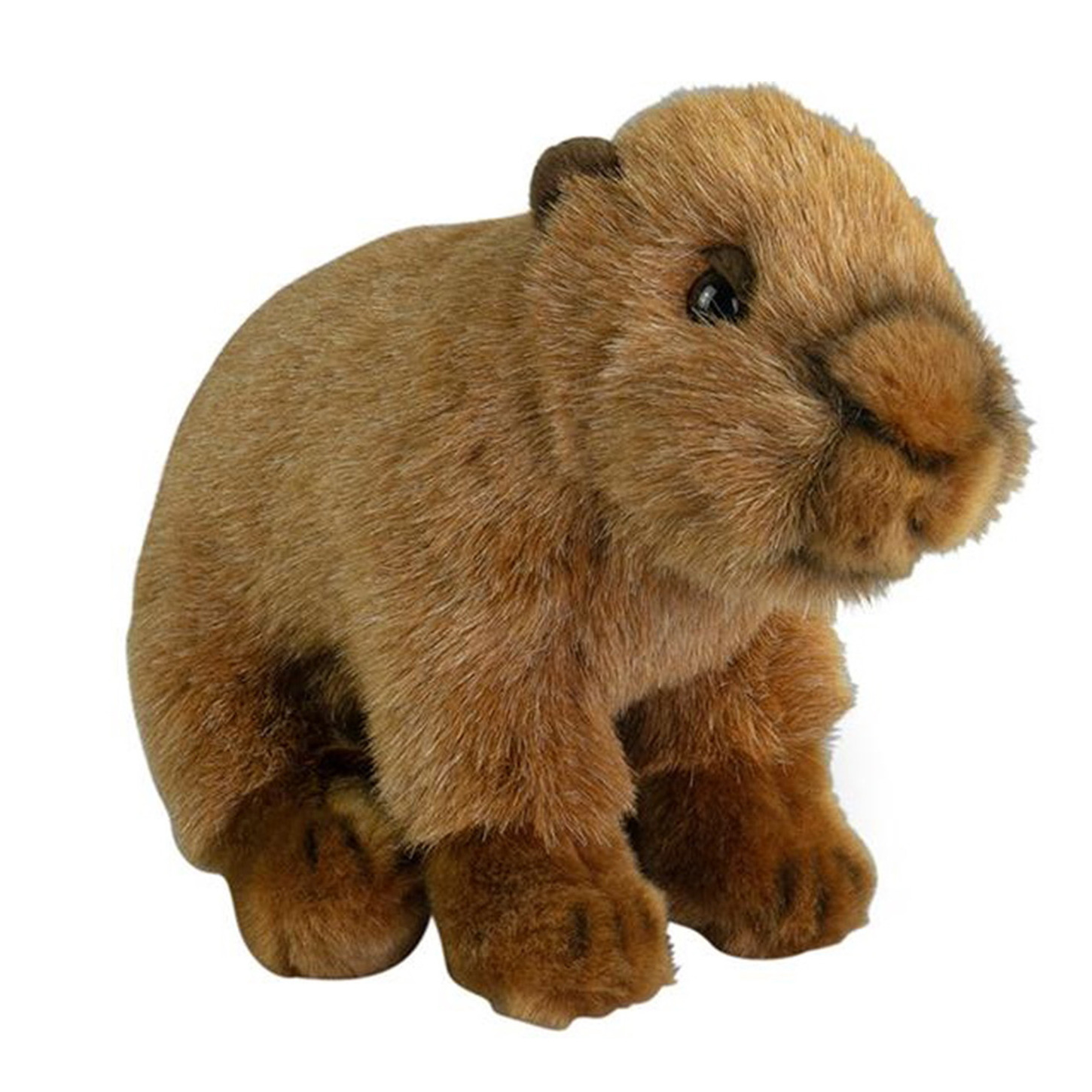 Nature Planet Knuffeldier Capybara - zachte pluche stof - premium kwaliteit knuffels - bruin - 20 cm -