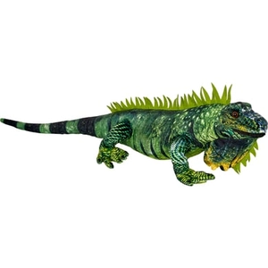 Coppenrath Verlag COPPENRATH Groene leguaan - Nature Zoom Wild