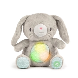Ingenuity™ Ingenuity Heart naar Hugs™ Sylvi™ Kalmerend knuffelkonijntje