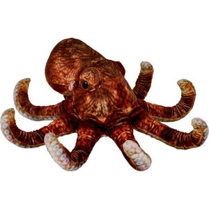 Coppenrath Verlag Coppenrath Octopus - Nature Zoom Wild