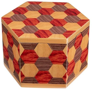 Philos Geheime Puzzeldoos - Honingraat