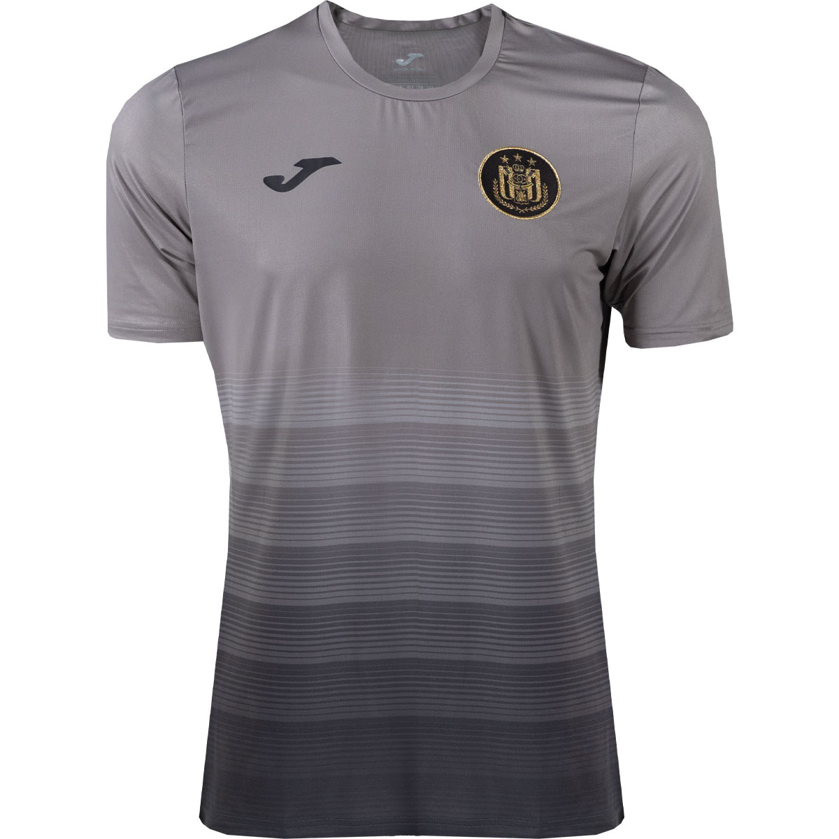 RSC Anderlecht Trainingsshirt 2025-2026 Grijs