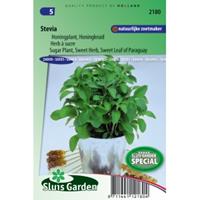 Sluis Garden Stevia zaden - Honingkruid