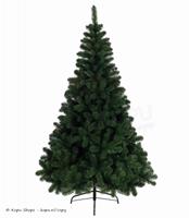 nodisponible Christbaumkiefer 1660 Zweige 300cm