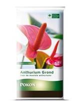 Pokon Anthurium potgrond 5 liter