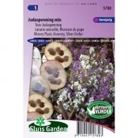 Tuin-Judaspenning bloemzaden â€“ Judaspenning mix