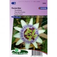 Passiebloem bloemzaden â€“ Passion Blue