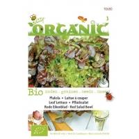 Pluksla Lactuca sativa Red Salad Bowl - Groentezaden - 1Â g