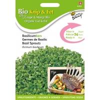 Bio knip en eet basilicumkers