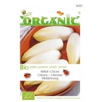 Organic Witlof Middelvroeg (Skal 14275)