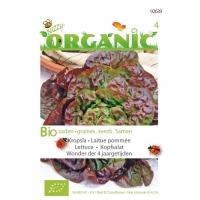 Organic Kropsla Wonder 4 jaargetijden (Skal 14275)