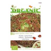 Organic Pluksla Lollo rossa (Skal 14275)