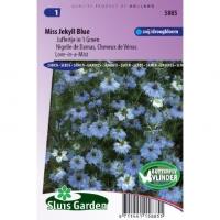 Juffertje in `t Groen bloemzaden â€“ Miss Jekyll Blue