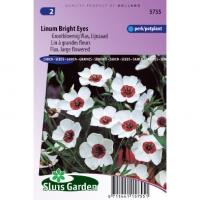 Lijnzaad bloemzaden â€“ Linum bright eyes