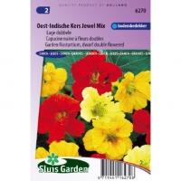 Lage dubbele bloemzaden â€“ Oost-Indische Kers Jewel Mix