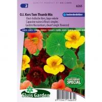 Lage enkele Oost-Indische kers bloemzaden â€“ Oost-Indische kers Tom Thumb mix