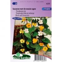 Thunbergia mix bloemzaden â€“ Suzanne met de mooie ogen