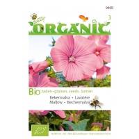 Organic Lavatera trimestris rose/rood (Skal 14275)