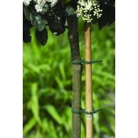 Bindband Groen 11.5 cm - 70 Stuks