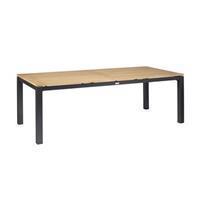 Exotan Memphis Tuintafel 220 x 100 cm