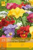 Jub 25 Freesia Enkel Mix