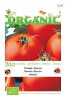 Buzzy Organic Tomaat Matina Tuinplus