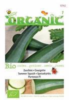 Buzzy Organic Courgette Partenon F1 (Skal 14725) Tuinplus