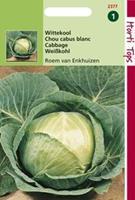 Hortitops Wittekool Brassica oleracea Roem van Enkhuizen 2 - Groentezaden - 2Â gram