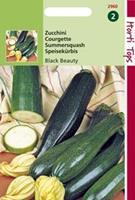 Hortitops Courgette Black Beauty Verte De Milan