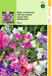 Lathyrus odoratus Bijou gemengd - Hortitops
