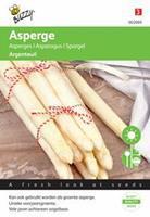 Buzzy Asperge Argenteuil Tuinplus