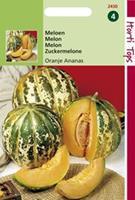 Hortitops Meloenen Oranje Ananas