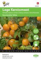 Buzzy Tomaten Gourmandise (gele cherry patio) Tuinplus