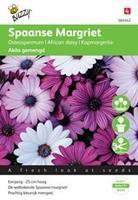 Buzzy Osteospermum Akila mix Spaanse Margriet Tuinplus