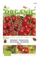 Buzzy Kerstomaten Solanum lycopersicum Cerise - Groentezaden - 0,2Â gram