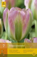 Tulp groenland 7 bollen