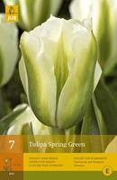 Jub Tulp spring green 7 bollen