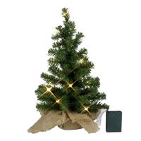 Kerstboom - 