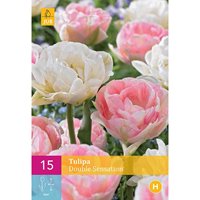 Tulp double Sensation 15 bollen