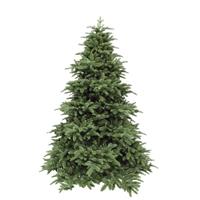 Triumphtree Triumph Tree Abies Nordmann de Luxe Green 230