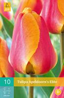 Tulp Apeldoorn's elite 10 bollen