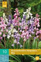 Hyacinthoides hispanica mix 10 bollen