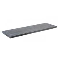 Siam Bluestone vijverrand 100x20x3 Verzoet