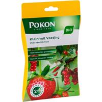 Bio Kleinfruit Voeding 100gr