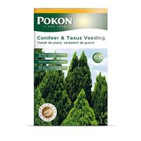 Pokon Conifeer & taxus voeding - Siertuinmeststof - 2,5Â kg