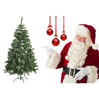 Kerstboom 120 cm Zilverspar