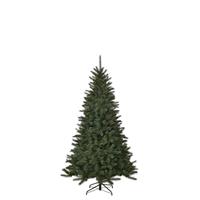 Edelman toronto kerstboom groen tips 511 maat in cm: 155 x 102